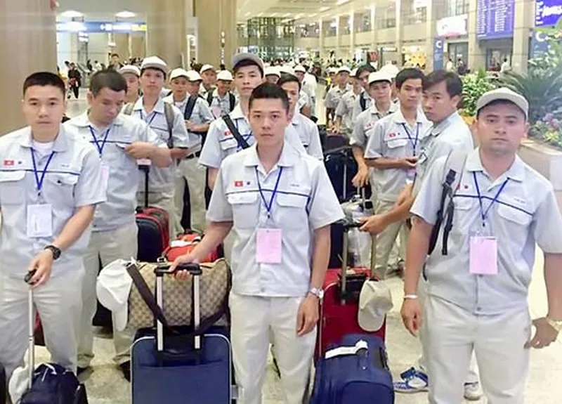 Những điều thực tập sinh Việt Nam cần biết khi sang làm việc tại Nhật Bản