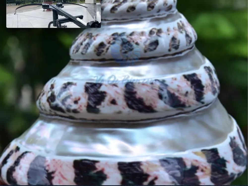 Mô hình cấu trúc của thành Cổ Loa được xây dựng theo mô hình xoắn ốc, trong đó khe xoắn chính là đường độc đạo - cũng là nơi dùng để kéo và đặt nỏ phòng thủ Mô hình cấu trúc của thành Cổ Loa được xây dựng theo mô hình xoắn ốc, trong đó khe xoắn chính là đường độc đạo - cũng là nơi dùng để kéo và đặt nỏ phòng thủ