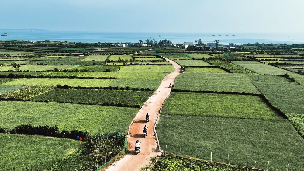 Những hình ảnh đẹp trong MV 12.png