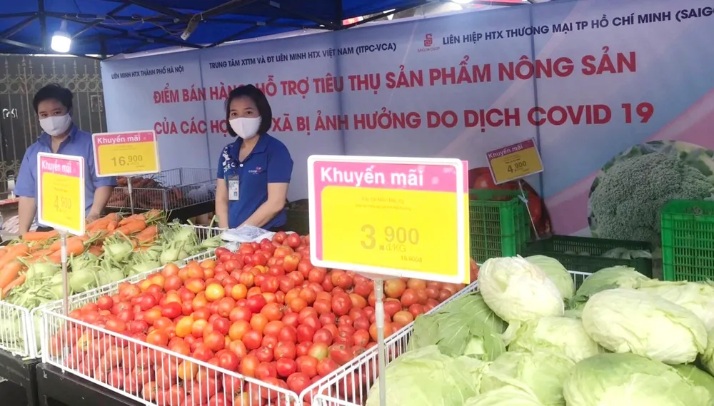 Nhiều siêu thị tham gia “giải cứu” nông sản Hải Dương, Hải Phòng ảnh 2 Nhiều siêu thị tham gia “giải cứu” nông sản Hải Dương, Hải Phòng ảnh 2
