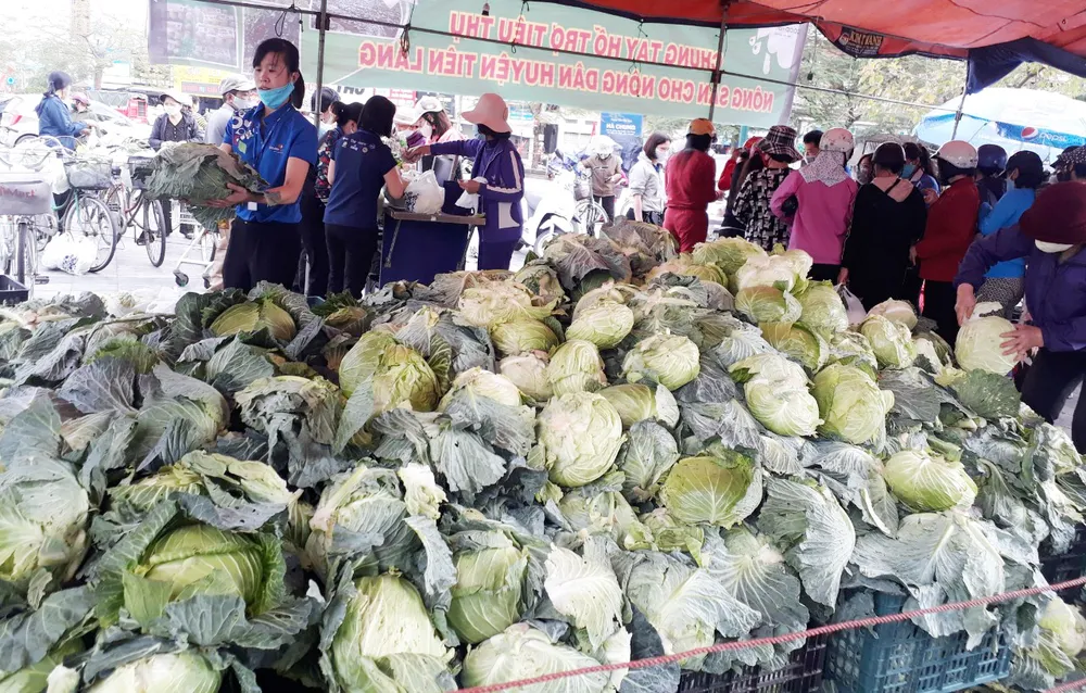 Nhiều siêu thị tham gia “giải cứu” nông sản Hải Dương, Hải Phòng ảnh 3 Nhiều siêu thị tham gia “giải cứu” nông sản Hải Dương, Hải Phòng ảnh 3