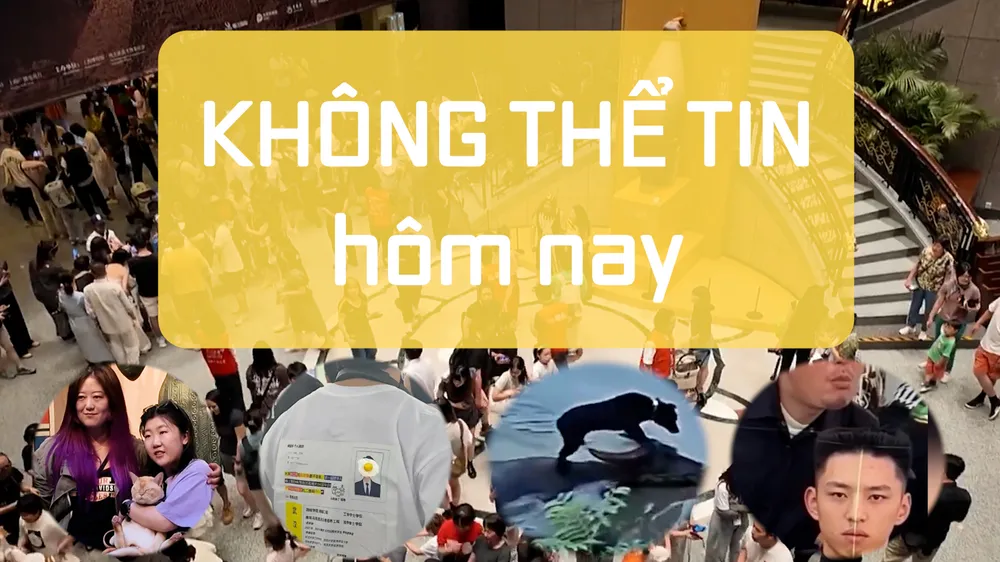 INTRO K THE TIN.00_00_15_19.Still001.jpg