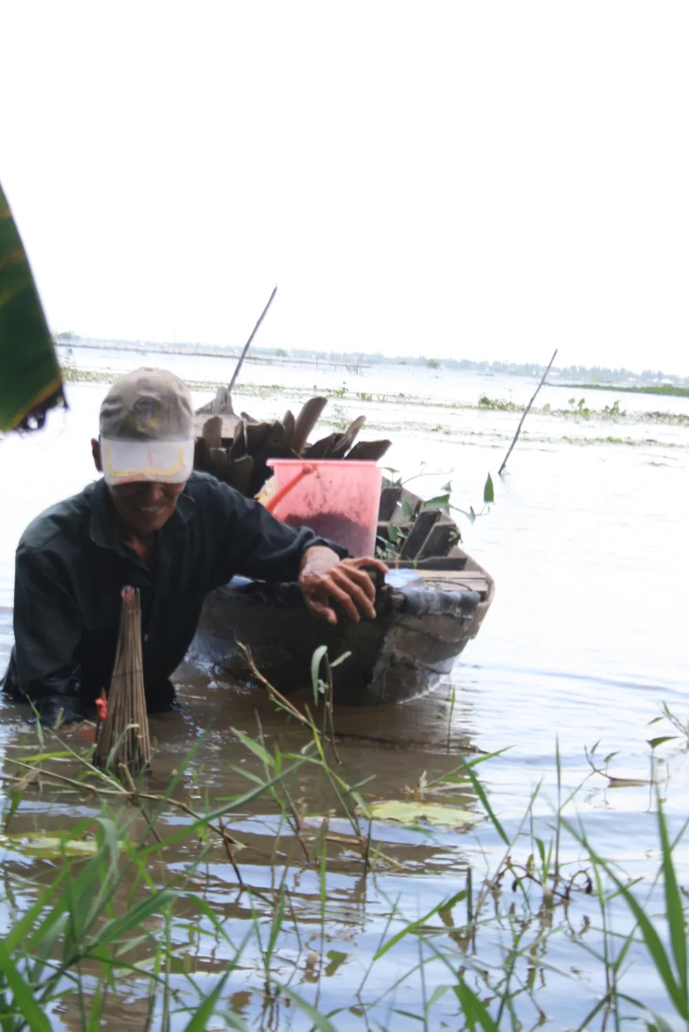 Nước bắt đầu lên, nông dân ĐBSCL ngóng mùa nước nổi ảnh 1 Nước bắt đầu lên, nông dân ĐBSCL ngóng mùa nước nổi ảnh 1