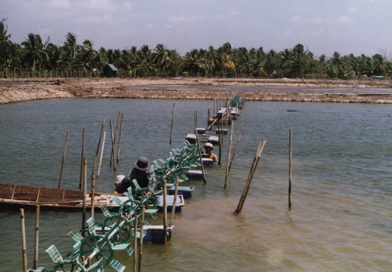 ĐBSCL: Triển khai sơ tán dân tránh bão số 16 ảnh 1 ĐBSCL: Triển khai sơ tán dân tránh bão số 16 ảnh 1