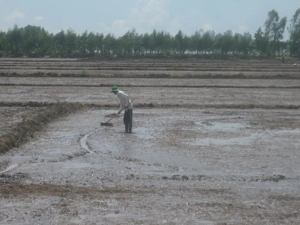 ĐBSCL tập trung ứng phó với mưa lũ ảnh 2 ĐBSCL tập trung ứng phó với mưa lũ ảnh 2