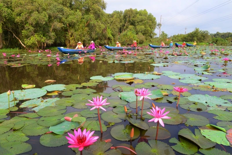 Du khách khám phá cảnh đẹp ở Long An 