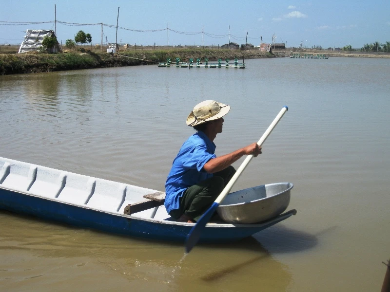 Nông dân Trà Vinh theo dõi tình hình các ao nuôi tôm để có phương án phòng, trị bệnh