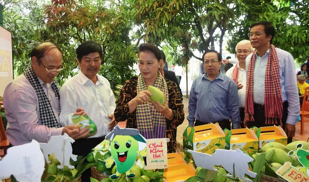 Chủ tịch Quốc hội Nguyễn Thị Kim Ngân: Đồng Tháp là điểm sáng trong mô hình liên kết nông dân ảnh 1 Chủ tịch Quốc hội Nguyễn Thị Kim Ngân: Đồng Tháp là điểm sáng trong mô hình liên kết nông dân ảnh 1