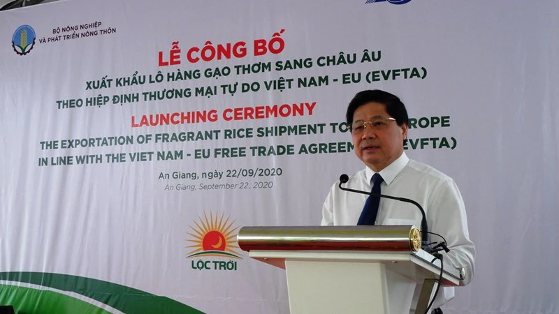 Xuất khẩu lô gạo thơm đầu tiên ở An Giang sang châu Âu theo Hiệp định EVFTA ảnh 2 Xuất khẩu lô gạo thơm đầu tiên ở An Giang sang châu Âu theo Hiệp định EVFTA ảnh 2