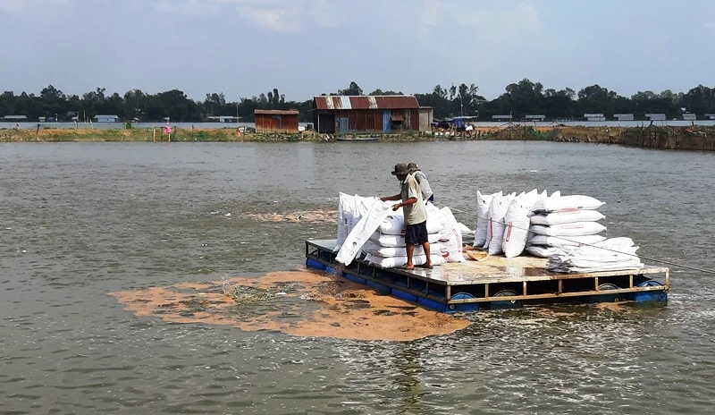 Cần nhanh chóng chuyển đổi số trong ngành nông nghiệp ảnh 2 Cần nhanh chóng chuyển đổi số trong ngành nông nghiệp ảnh 2