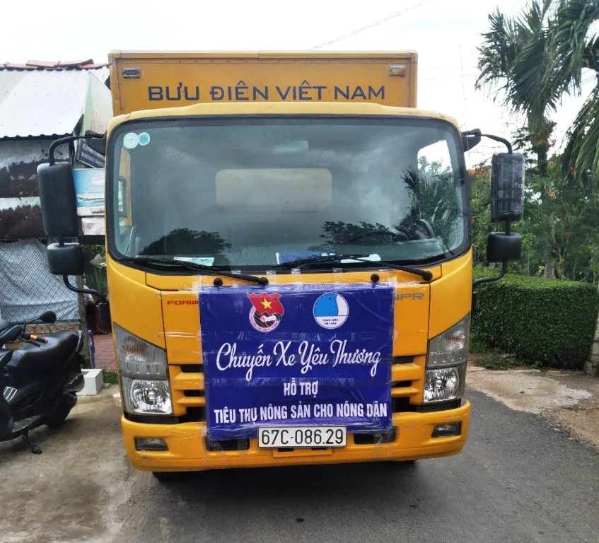 Đã tiêu thụ hàng trăm tấn nhãn cho nông dân ở An Giang ảnh 4 Đã tiêu thụ hàng trăm tấn nhãn cho nông dân ở An Giang ảnh 4