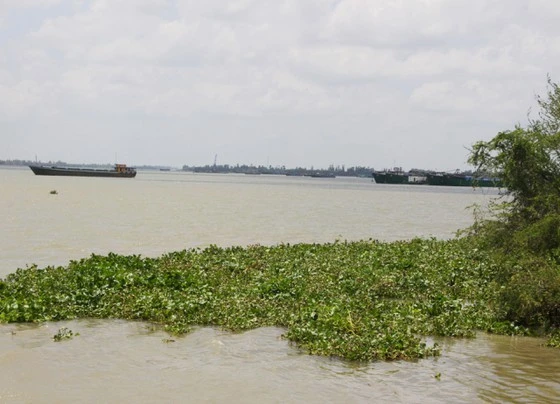 An Giang: Hủy kết quả vụ đấu giá khủng quyền khai thác cát trên sông Tiền ảnh 1 An Giang: Hủy kết quả vụ đấu giá khủng quyền khai thác cát trên sông Tiền ảnh 1