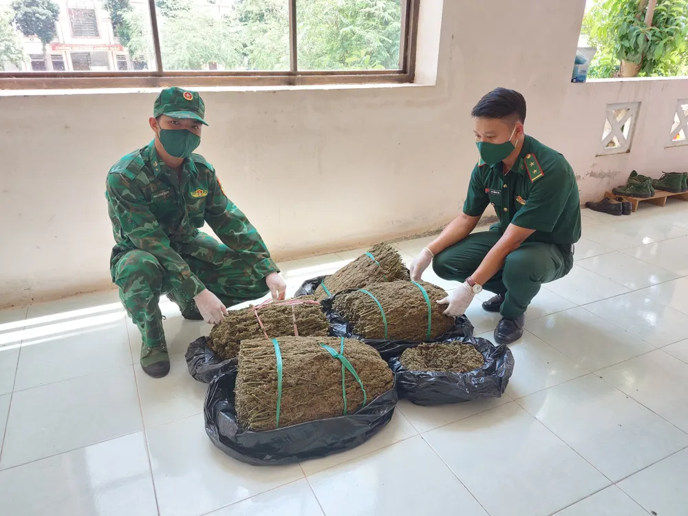 Bộ đội Biên phòng An Giang thu giữ hơn 19kg nghi cần sa ảnh 1 Bộ đội Biên phòng An Giang thu giữ hơn 19kg nghi cần sa ảnh 1