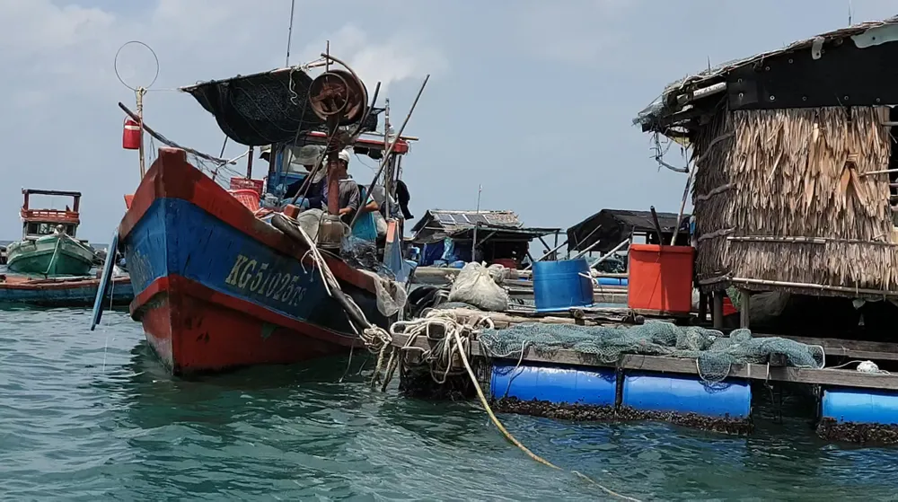 Các lồng bè nuôi hải sản vùng biển quanh đảo Hòn Tre (cách đất liền chỉ 27km) bị thiệt hại vào thời điểm sau Tết cổ truyền. Ảnh: QUỐC BÌNH.