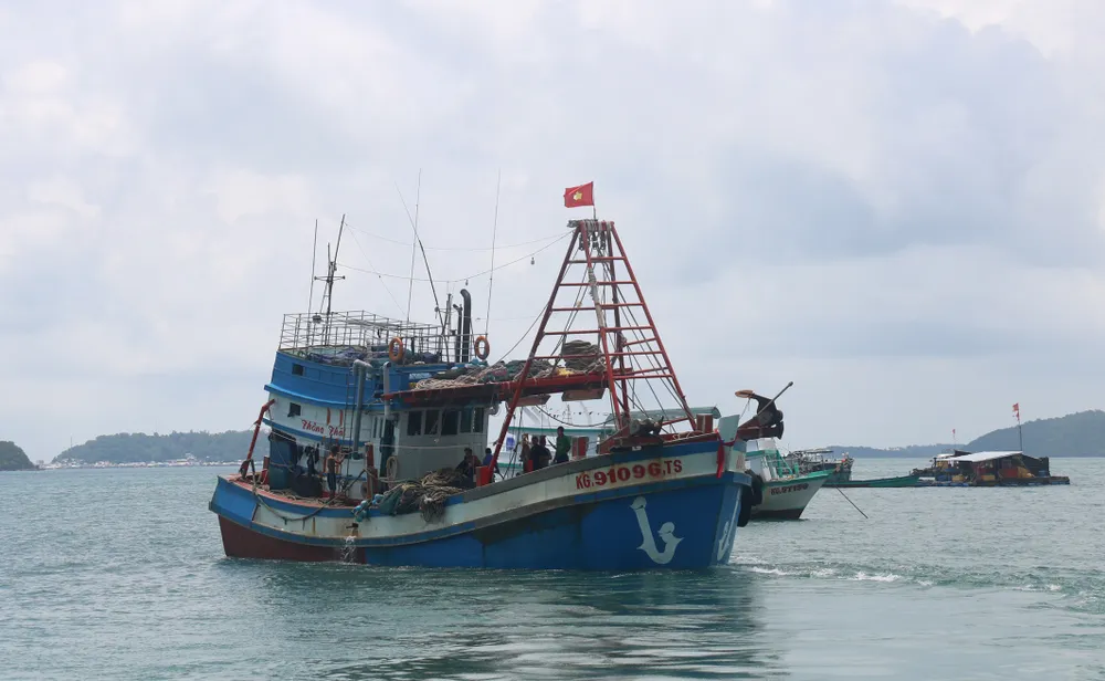 Kiên Giang là tỉnh có đội tàu đánh cá lớn nhất cả nước với hơn 3.700 chiếc còn đăng ký hoạt động. Ảnh: QUỐC BÌNH