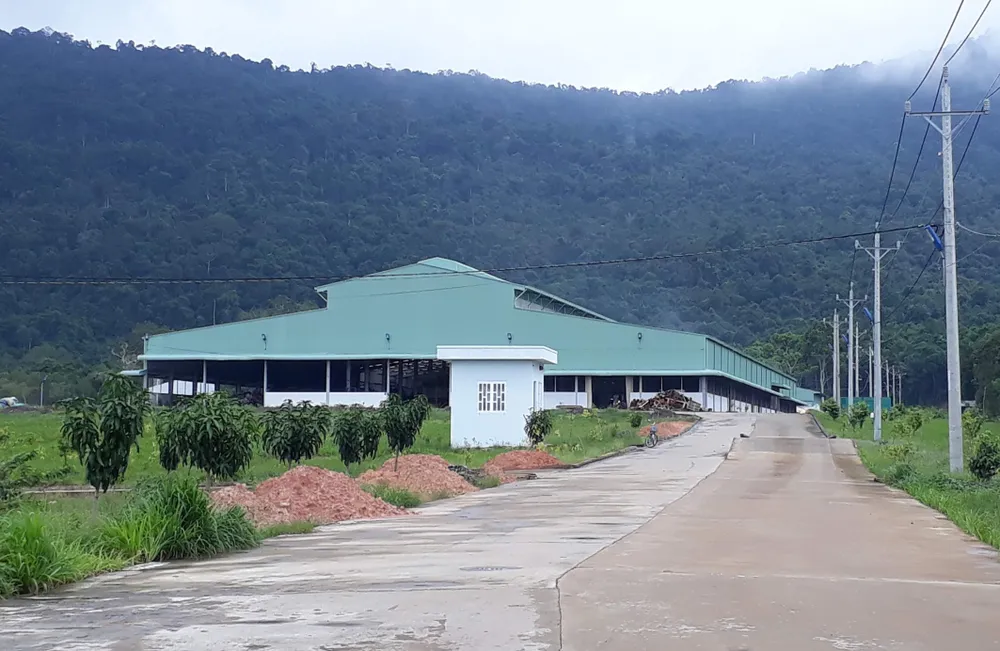 Ít nhất 3 nhà đầu tư đã đến rồi đi khỏi dự án nhà máy rác tại xã Hàm Ninh. Ảnh: QUỐC BÌNH Ít nhất 3 nhà đầu tư đã đến rồi đi khỏi dự án nhà máy rác tại xã Hàm Ninh. Ảnh: QUỐC BÌNH