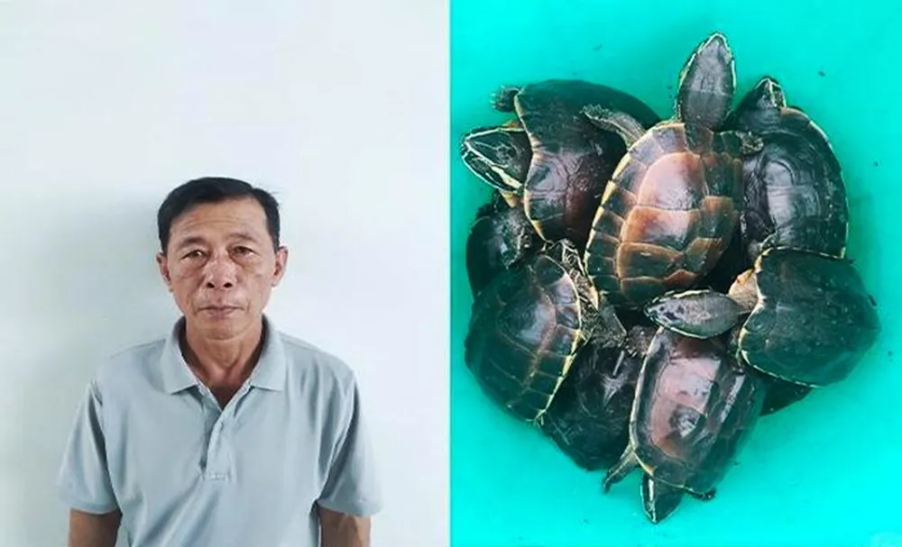 Đối tượng Nguyễn Văn Thống cùng số rùa bị bắt giữ. Ảnh: CTV