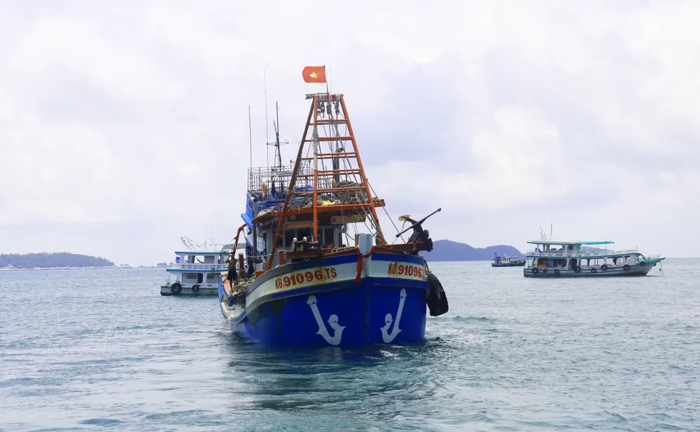 Kiên Giang là tỉnh có đội tàu đánh bắt xa bờ lớn nhất cả nước với khoảng 6.300 chiếc. Ảnh: QUỐC BÌNH Kiên Giang là tỉnh có đội tàu đánh bắt xa bờ lớn nhất cả nước với khoảng 6.300 chiếc. Ảnh: QUỐC BÌNH