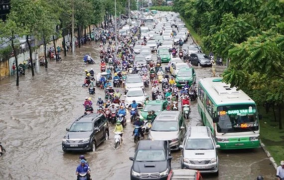 Dự án sửa chữa đường Nguyễn Hữu Cảnh sẽ làm ảnh hưởng nhiều cây xanh