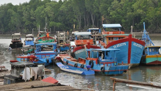 Tàu đậu tránh bão tại huyện Cần Giờ. Ảnh: CAO THĂNG