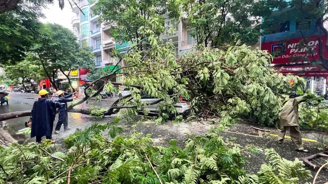 Xử lý nhanh chóng các sự cố, khắc phục hậu quả thiên tai gây ra. Ảnh: QUỐC HÙNG 12 cay nga.jpg