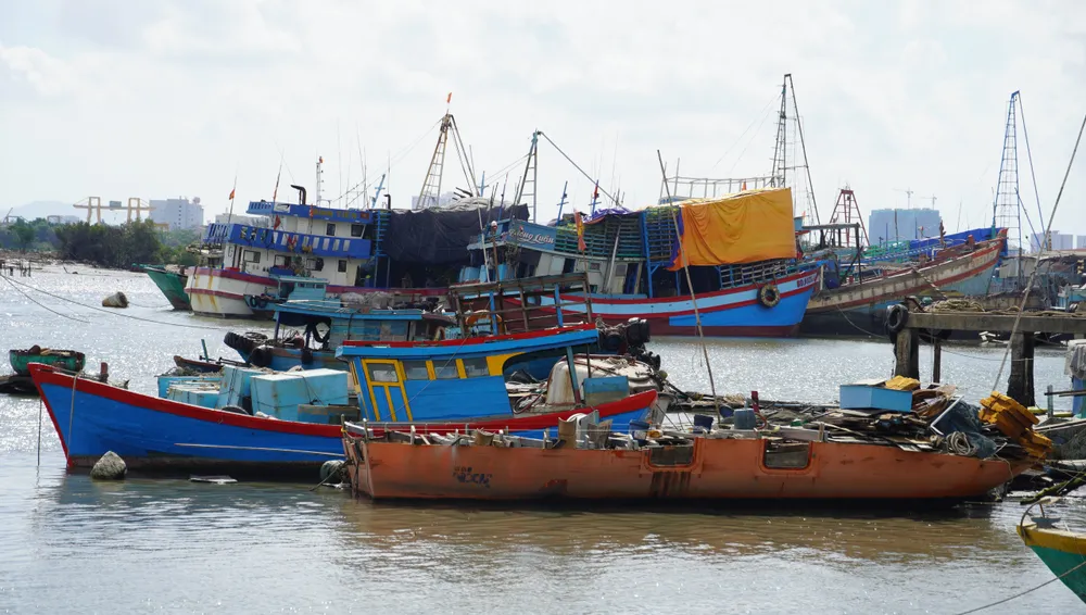 UBND TPHCM yêu cầu các xã, phường, đặc khu tuyên truyền quy định IUU, ngư dân không đánh bắt trái phép ở vùng biển nước ngoài. Ảnh: QUỐC HÙNG 27 tau ca2.jpg