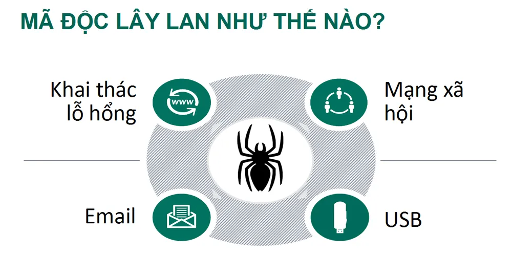 Việt Nam là quốc gia có thư rác hàng đầu thế giới ảnh 2