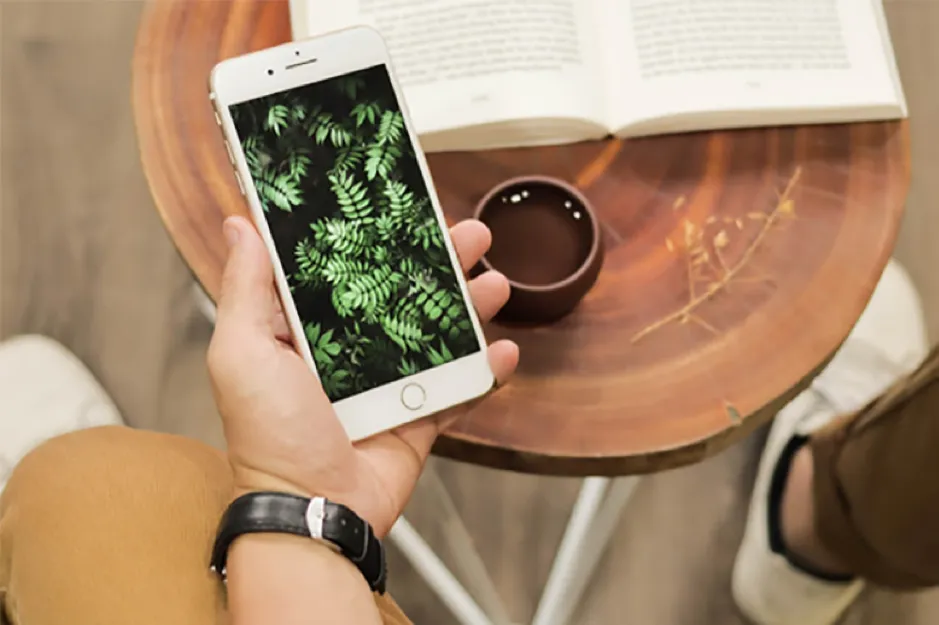 5 lý do nên chọn iPhone 7 Plus chơi Tết ảnh 1