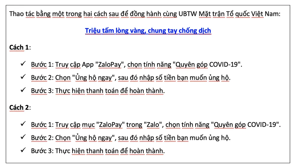 ZaloPay cùng “Triệu tấm lòng vàng, chung tay chống dịch” ảnh 2