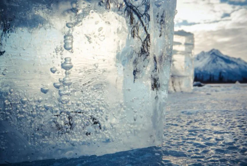 Epson hợp tác cùng National Geographic ra mắt chiến dịch “Turn Down the Heat”   ảnh 3