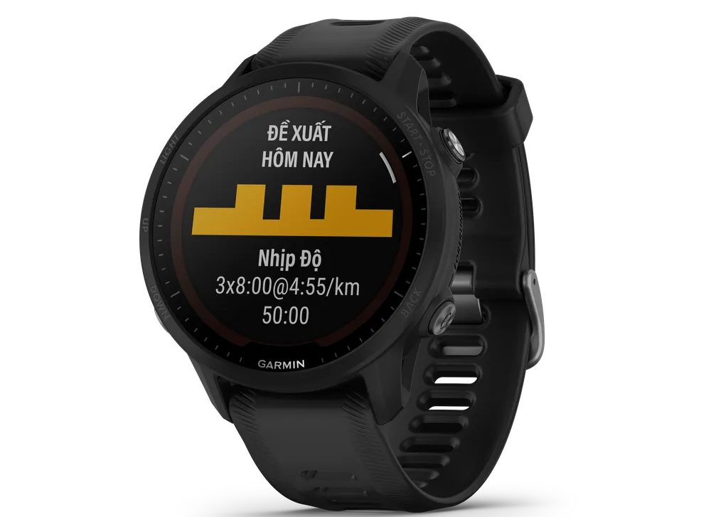 Garmin chính thức ra mắt Forerunner 955 và Forerunner 255 tại Việt Nam  ​ ảnh 1