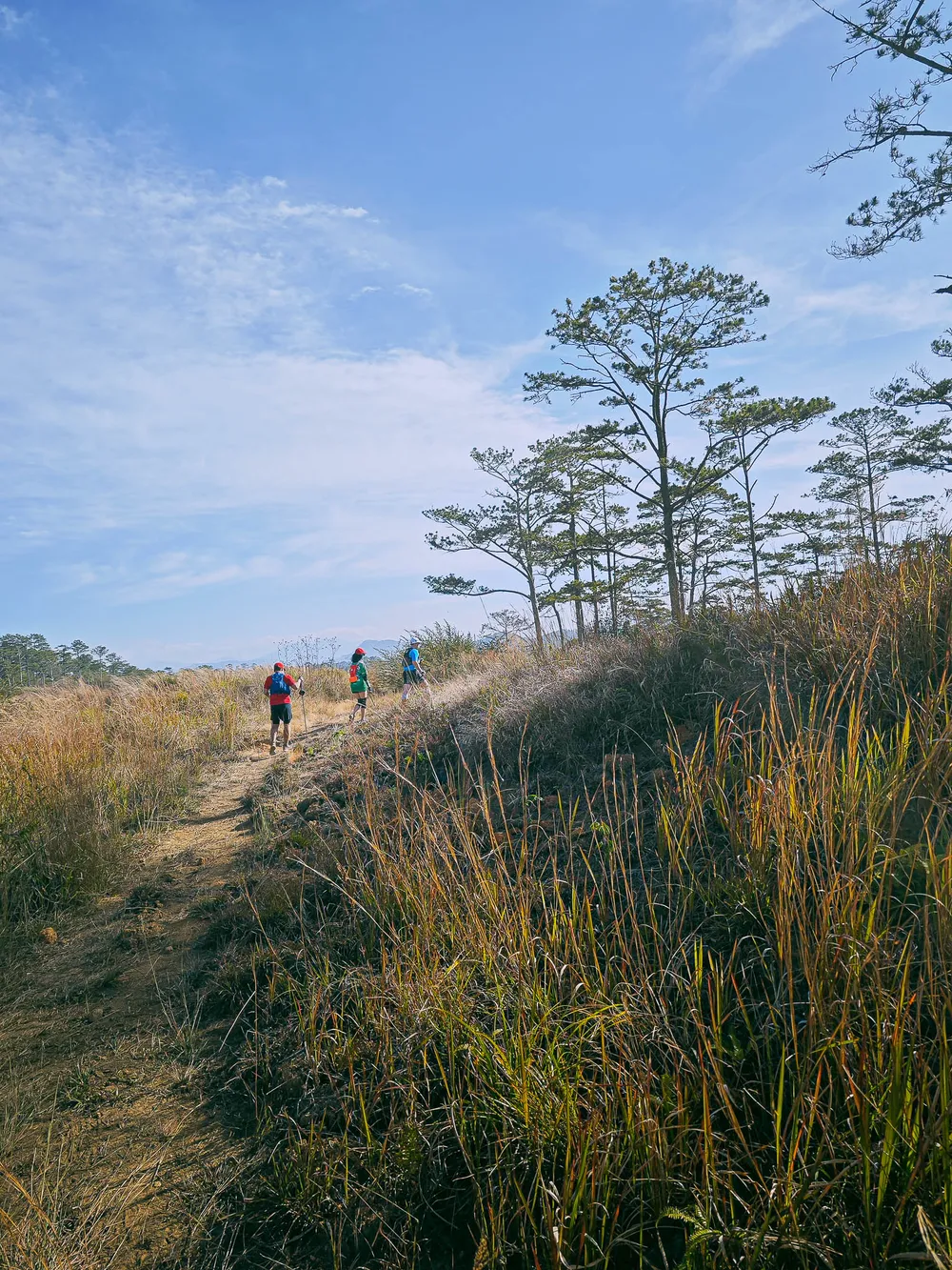 Qua vài con dốc khô khốc, những rừng thông Đà Lạt lùi dần sau lưng Qua vài con dốc khô khốc, những rừng thông Đà Lạt lùi dần sau lưng