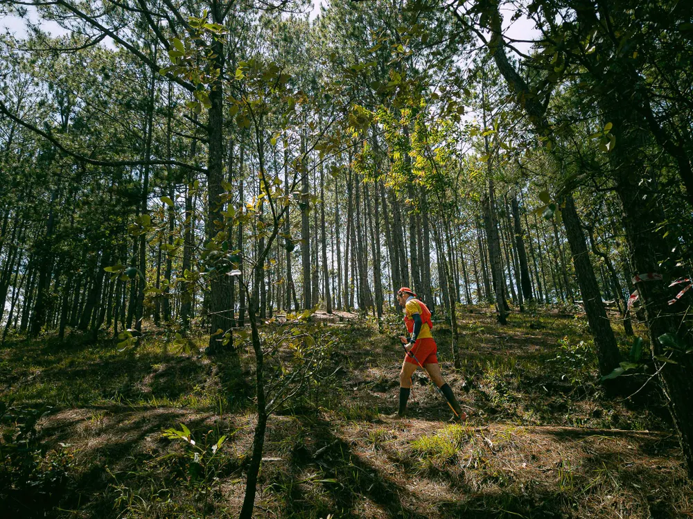 Một vận động viên người nước ngoài tham gia cự ly 85km đang băng qua rừng thông Một vận động viên người nước ngoài tham gia cự ly 85km đang băng qua rừng thông