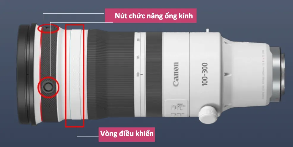 Người dùng có thể zoom dễ dàng để theo dõi nét và giữ nét cho chủ thể động, như bóng đá hoặc chim chóc đang bay trong khung hình, ngay cả ở những vị trí khó di chuyển