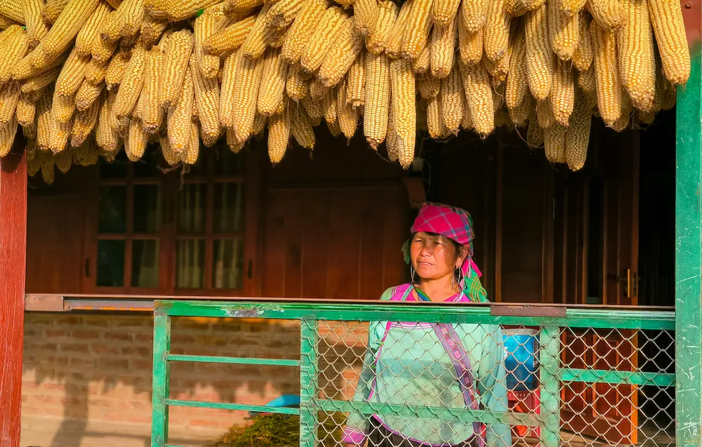 Bức chân dung chụp vội khi tôi lướt qua một ngôi nhà của đồng bào trong buổi chiều hanh nắng Bức chân dung chụp vội khi tôi lướt qua một ngôi nhà của đồng bào trong buổi chiều hanh nắng