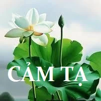 Lời cảm tạ