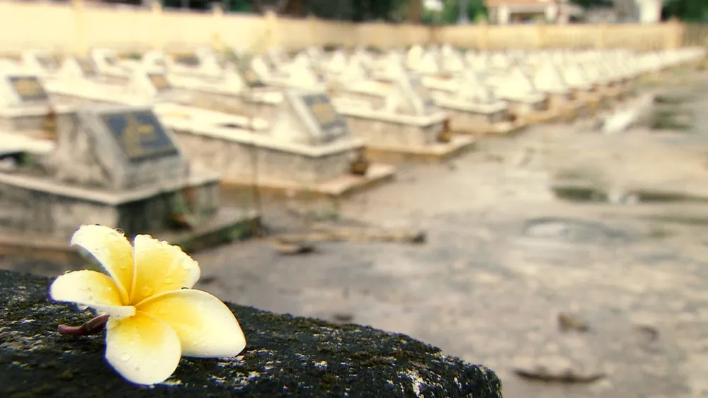 “Dáng đứng Việt Nam”- Kết nối 4 điểm cầu Bắc - Trung - Nam ảnh 1