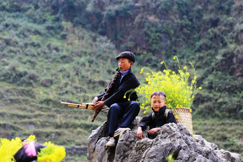 Rạng rỡ sắc hoa trên cao nguyên đá Đồng Văn ảnh 2