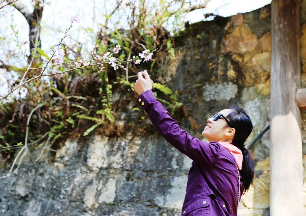 Rạng rỡ sắc hoa trên cao nguyên đá Đồng Văn ảnh 8