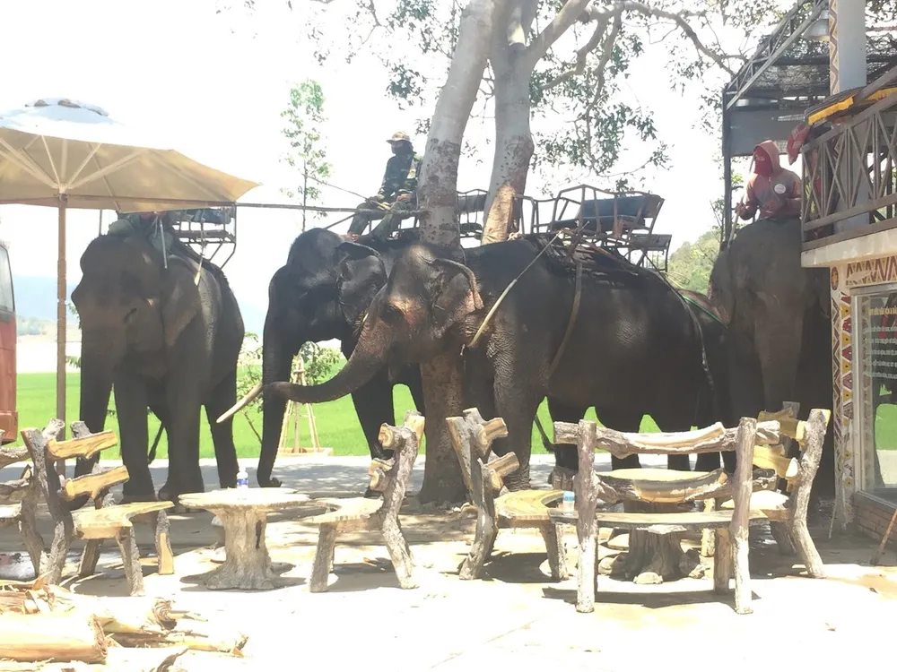 Liên kết để “chống” khát vé máy bay mùa cao điểm du lịch ảnh 2