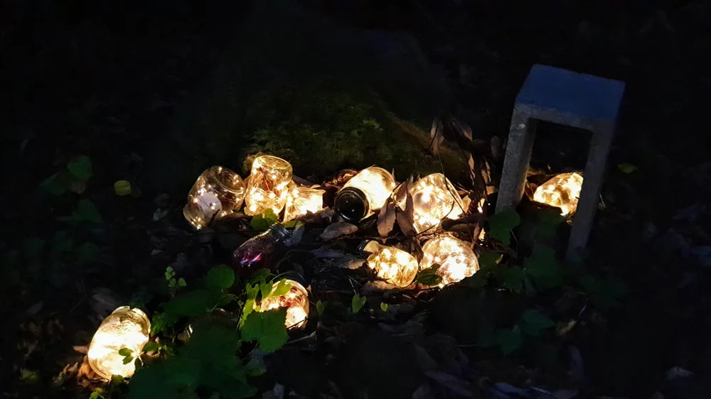 Ngỡ ngàng lễ hội ánh sáng ở Jeju - đảo tình yêu ảnh 3