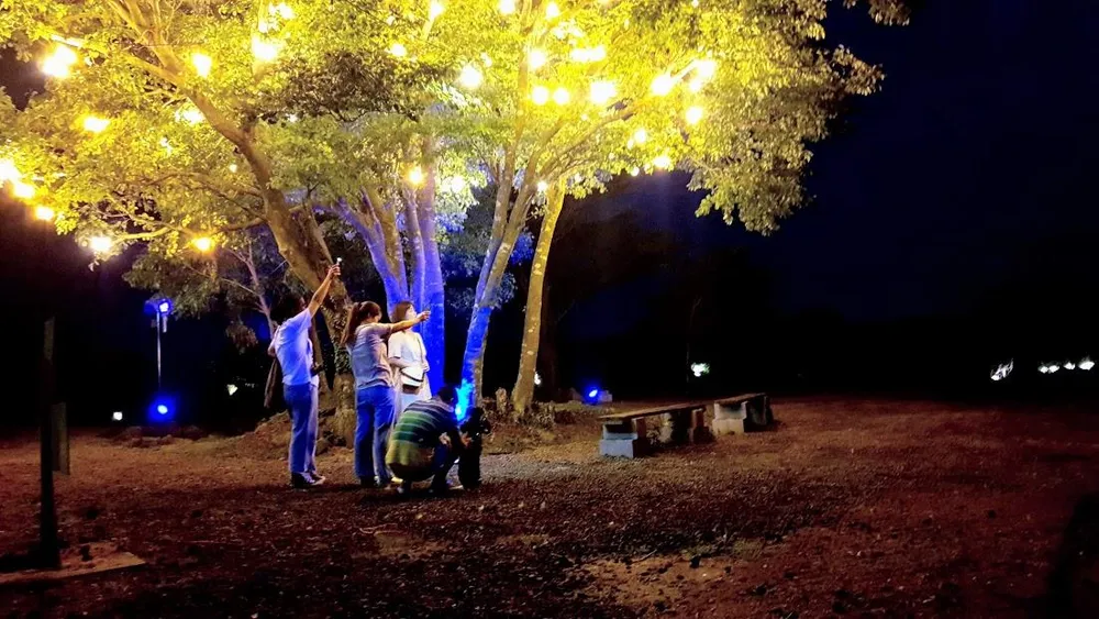 Ngỡ ngàng lễ hội ánh sáng ở Jeju - đảo tình yêu ảnh 7