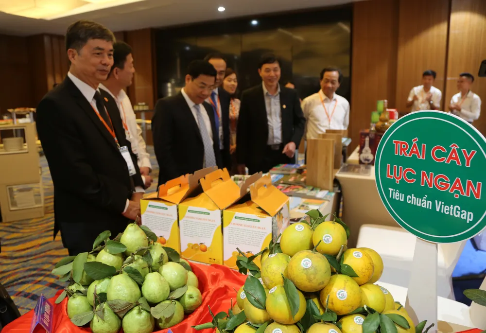 Cơ hội vàng để phục hồi và phát triển ngành công nghiệp không khói ảnh 5