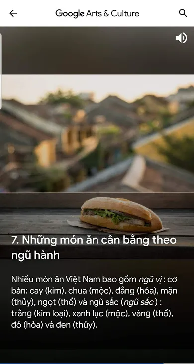 Google Arts & Culture tôn vinh kỳ quan Việt Nam  ảnh 5