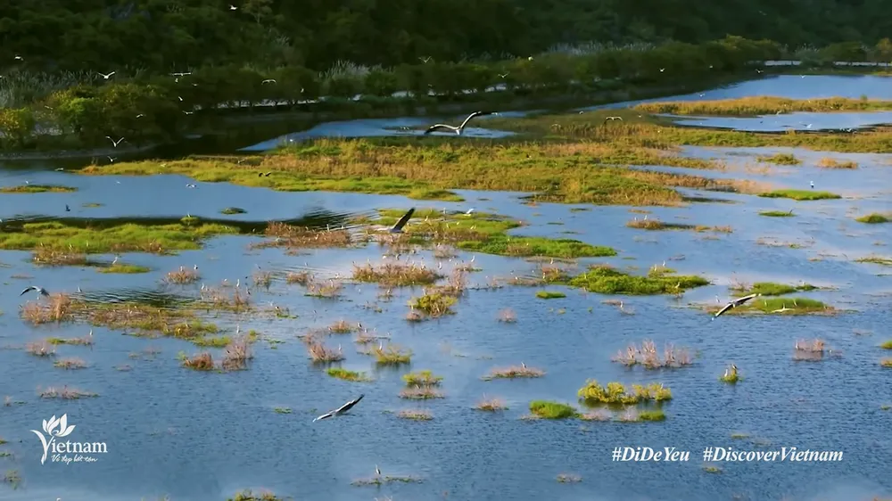 Đẹp ngỡ ngàng với những khung hình "Việt Nam đi để yêu" ảnh 4