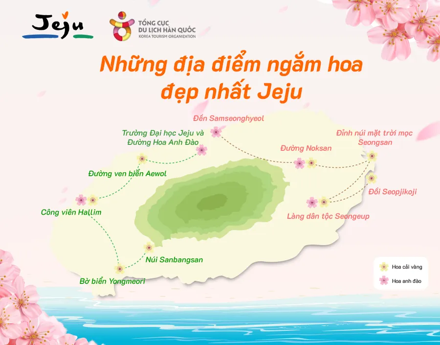 Chạy trên những cánh đồng hoa mùa xuân ở Jeju ảnh 1