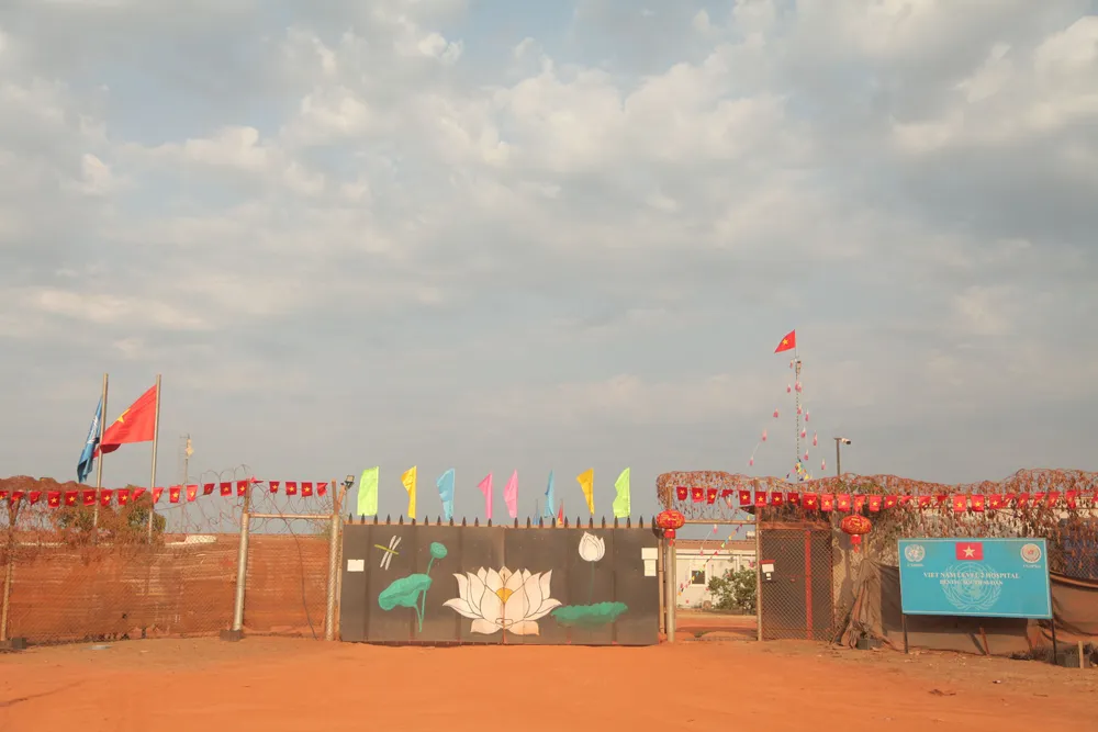 Cây nêu Việt Nam cao 10m trên đất châu Phi xa xôi ảnh 4