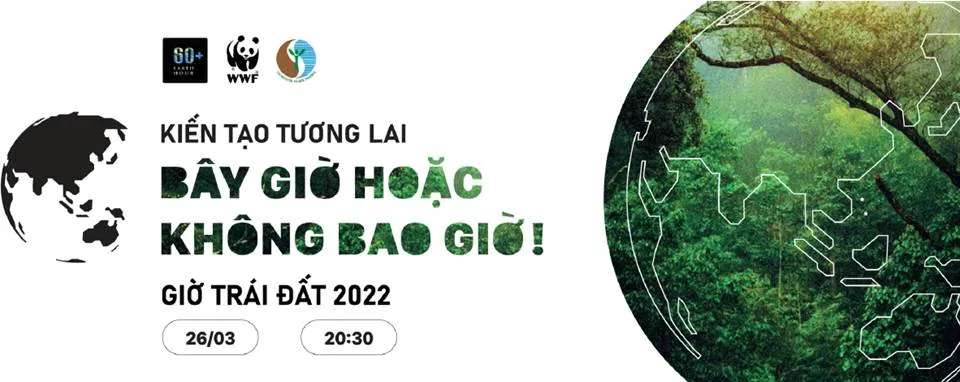Nhiều khách sạn tổ chức nhặt rác, trồng cây, tắt đèn... hưởng ứng chiến dịch Giờ Trái Đất ảnh 1