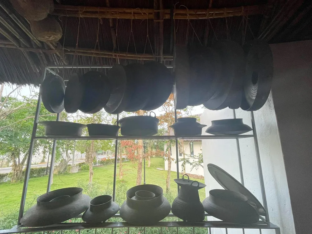 Đại ngàn Cúc Phương mở hội ảnh 1