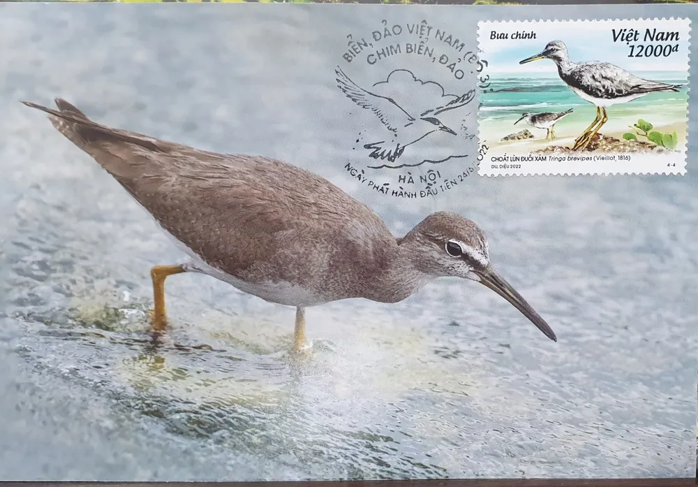 Phát hành bộ tem biển đảo Việt Nam ảnh 5